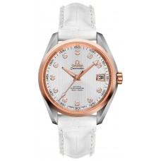 Omega Seamaster Aqua Terra 23123392152001 Omega Seamaster Aqua Terra 23123392152001