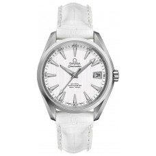 Omega Seamaster Aqua Terra Chronometer Silver Dial Men's Watch 23110392102001-WHTCD Omega Seamaster Aqua Terra Chronometer Silver Dial Men's Watch 23110392102001-WHTCD