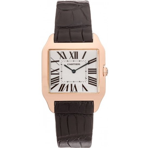 Cartier Santos-Dumont W2006951