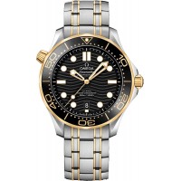 Omega Seamaster 21020422001002