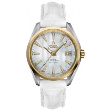 Omega Seamaster Aqua Terra 23123392155002 Omega Seamaster Aqua Terra 23123392155002