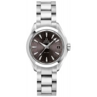 Omega Seamaster Aqua Terra Grey Dial Stainless Steel Women's Watch 23110306006001