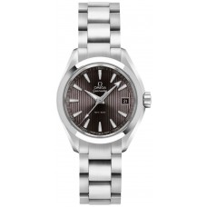 Omega Seamaster Aqua Terra Grey Dial Stainless Steel Women's Watch 23110306006001