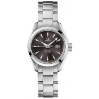 Omega Seamaster Aqua Terra 23110306106001