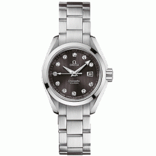 Omega Seamaster Aqua Terra 23110306156001 Omega Seamaster Aqua Terra 23110306156001