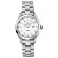 Omega Seamaster Aqua Terra 23110342004001