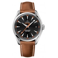 Omega Seamaster Aqua Terra 23112422101002