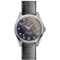 Omega Seamaster Aqua Terra 23113392157001