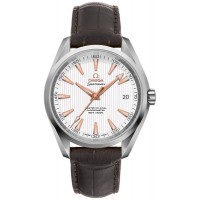 Omega Seamaster Aqua Terra Steel Automatic Chronometer Men's Watch 23113422102003