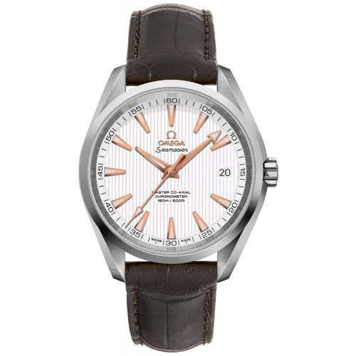 Omega Seamaster Aqua Terra Steel Automatic Chronometer Men's Watch 23113422102003