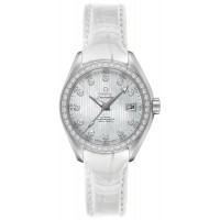 Omega Seamaster Aqua Terra 23118302055001