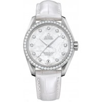 Omega Seamaster Aqua Terra 23118392155001