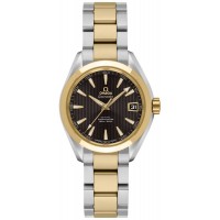 Omega Seamaster Aqua Terra 23120302006002