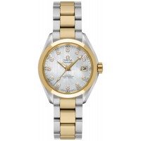 Omega Seamaster Aqua Terra 23120302055002