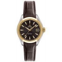 Omega Seamaster Aqua Terra 23123302006002