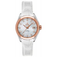 Omega Seamaster Aqua Terra 23123302055001