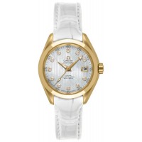Omega Seamaster Aqua Terra 23123302055002