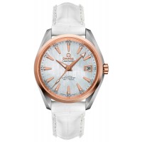 Omega Seamaster Aqua Terra 23123392155001