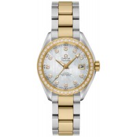 Omega Seamaster Aqua Terra 23125302055002