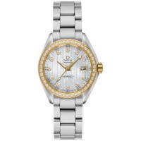 Omega Seamaster Aqua Terra 23125302055004