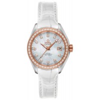 Omega Seamaster Aqua Terra 23128302055001
