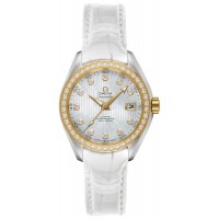 Omega Seamaster Aqua Terra 23128302055002