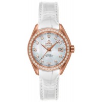 Omega Seamaster Aqua Terra 23158302055001