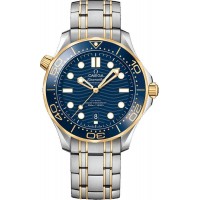 Omega Seamaster 21020422003001