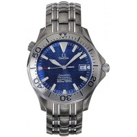 Omega Seamaster 22318000