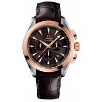 Omega Seamaster Aqua Terra 23123445006001