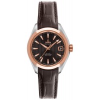 Omega Seamaster Aqua Terra 23123302006001